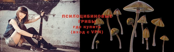 гашиш Алексин