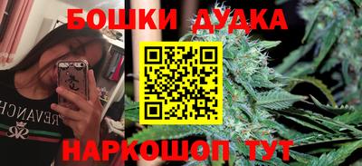 a pvp Гатчина