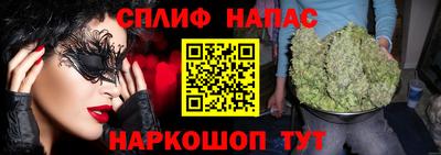a pvp Гатчина
