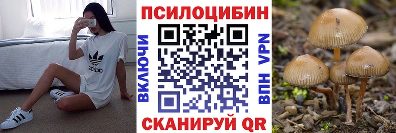 Галлюциногенные грибы мицелий  где купить наркотик  Глазов 