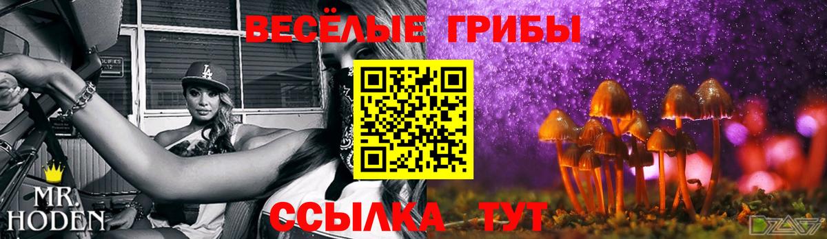 Галлюциногенные грибы прущие грибы Глазов
