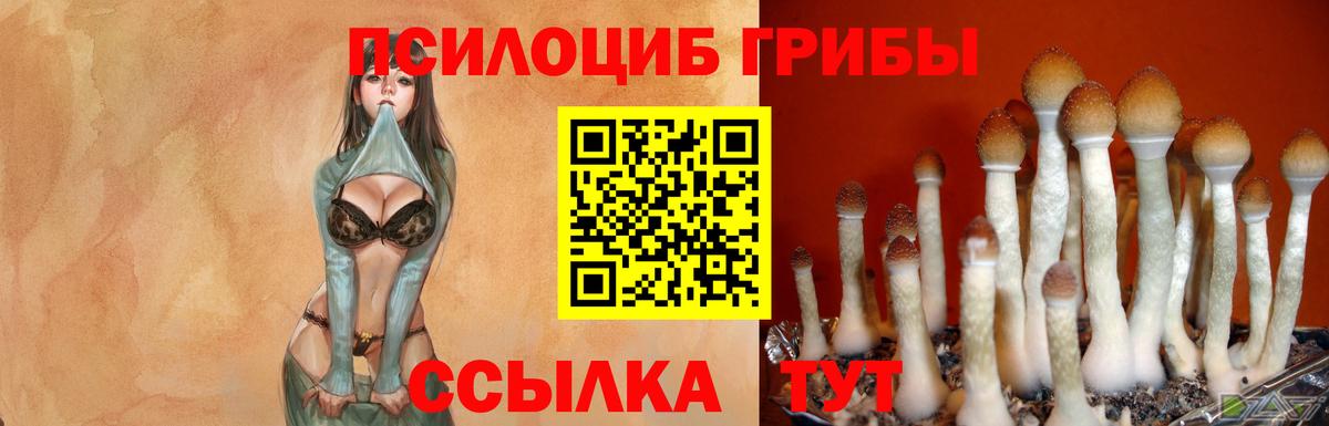 Глазов  Псилоцибиновые грибы GOLDEN TEACHER  Вход с VPN 
